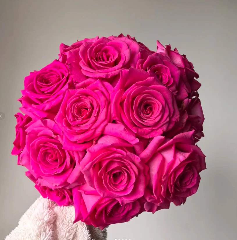 1.【弗洛伊德+苏菲宝贝】玫瑰组合套餐玫瑰