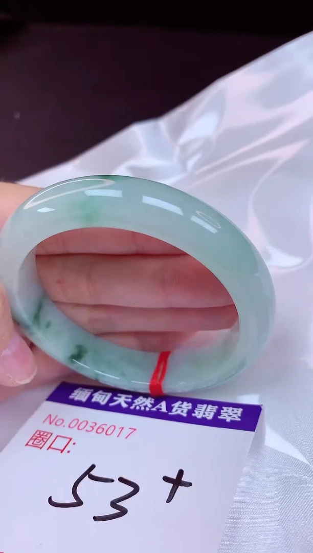 未镶嵌手镯翡翠53