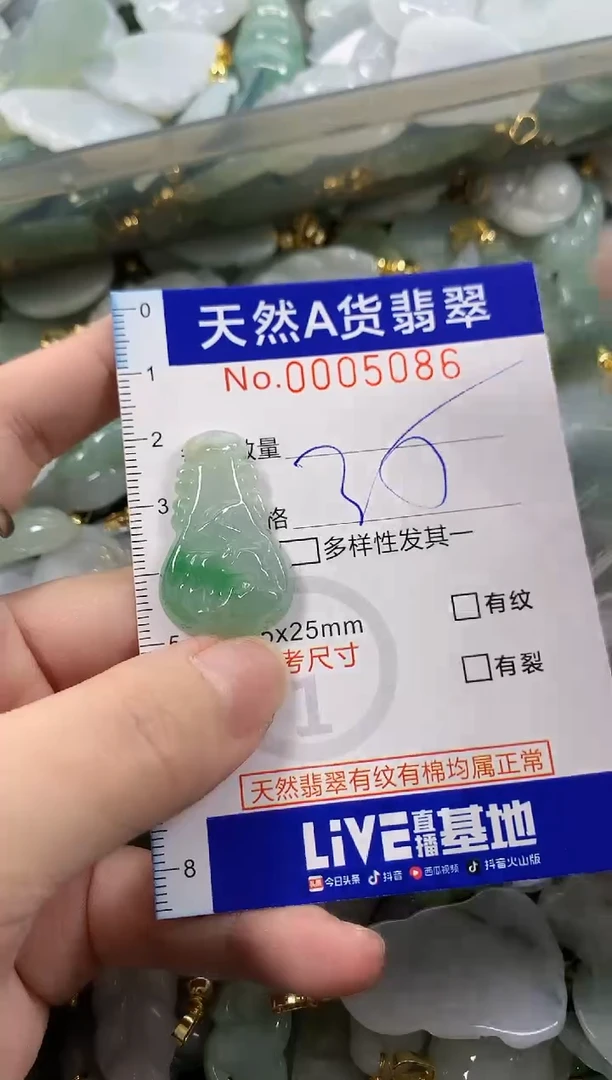 颈饰未镶嵌翡翠女*爷天然A货翡翠