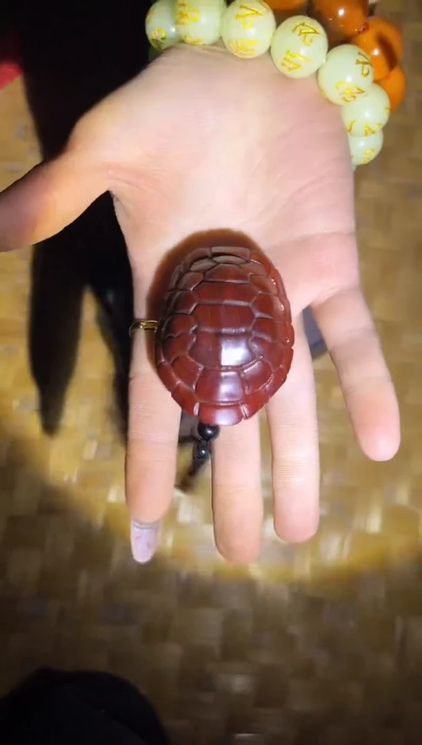 【闪购商品】香榧木65财财财财财财财财