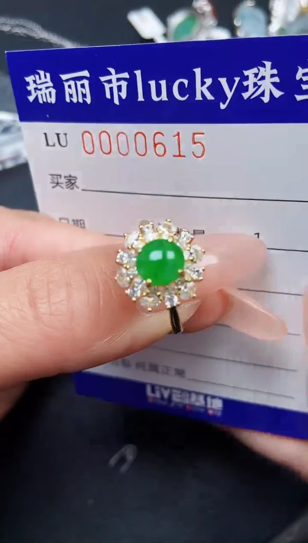 【闪购商品】翡翠颈饰银S925镶嵌0615