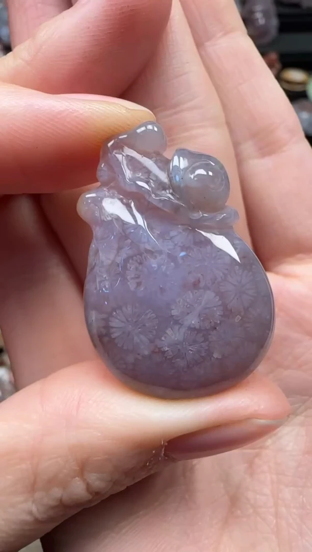 颈饰未镶嵌硅化珊瑚（珊瑚玉）831