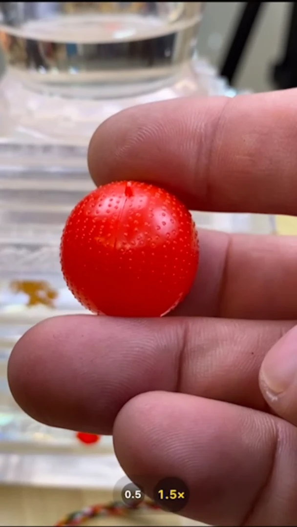 【闪购商品】装裱画红宝丸-与实物略有差异介意者勿拍