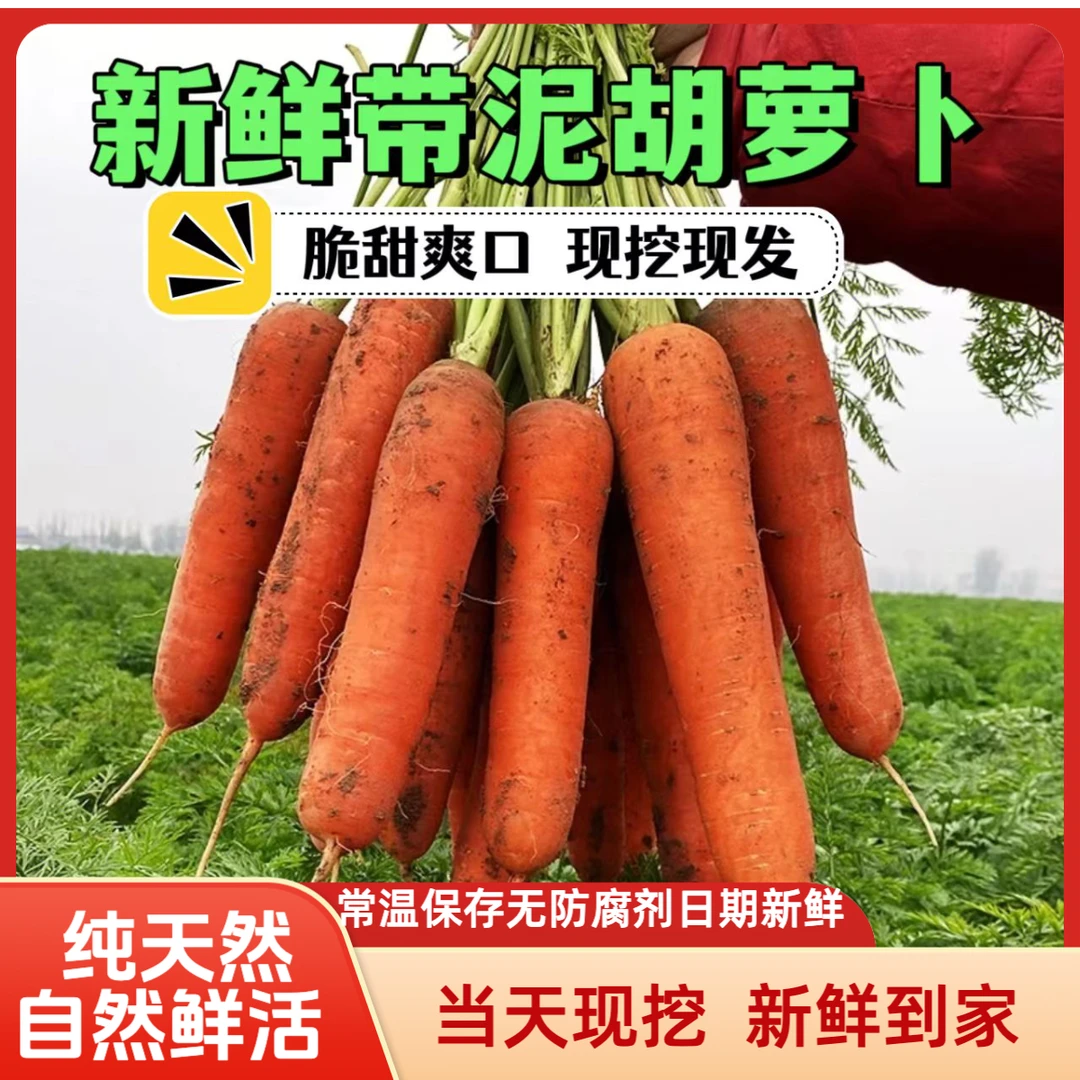 2025年新鲜胡萝卜 脆甜可口 现挖现发 农家传统种植 5斤