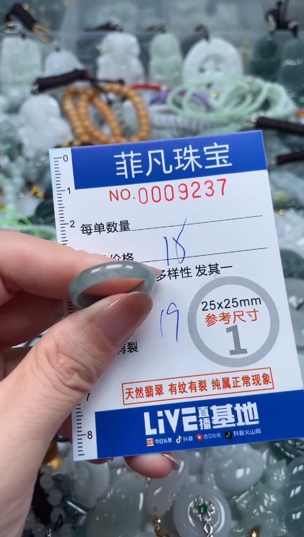 翡翠未镶嵌颈饰00..9237