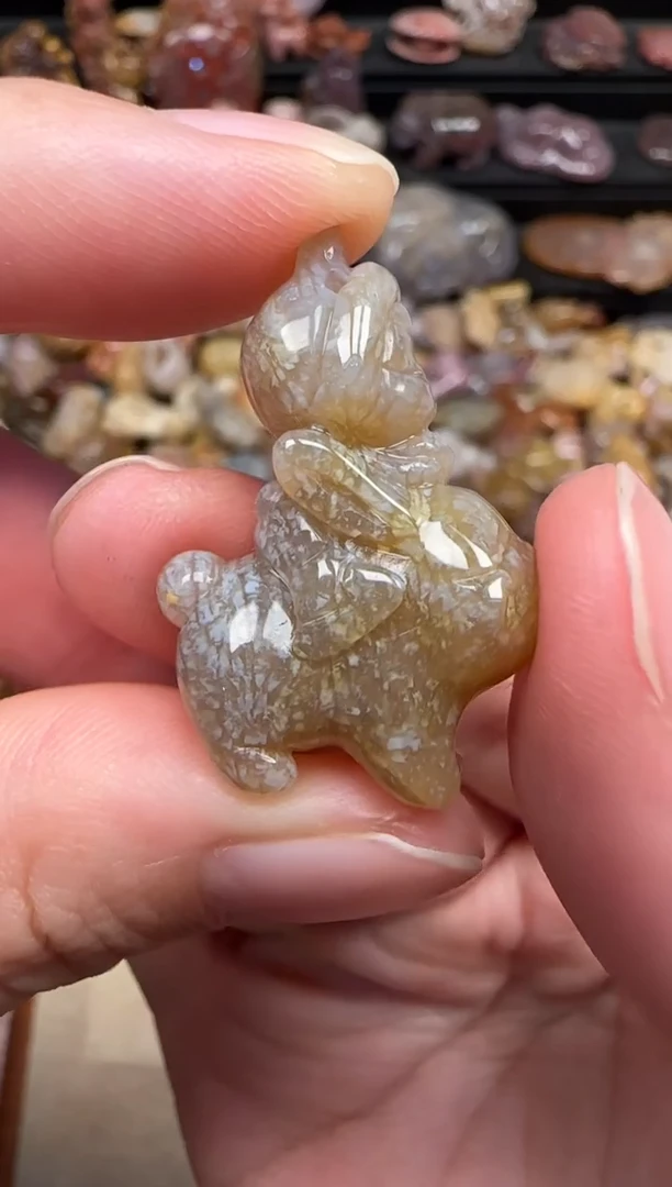 颈饰未镶嵌硅化珊瑚（珊瑚玉）633