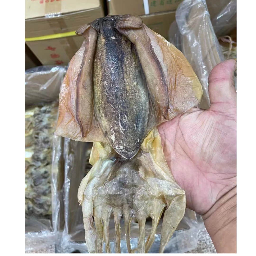 闽南特产墨鱼干 爆炒煲粥煲汤美味海鲜