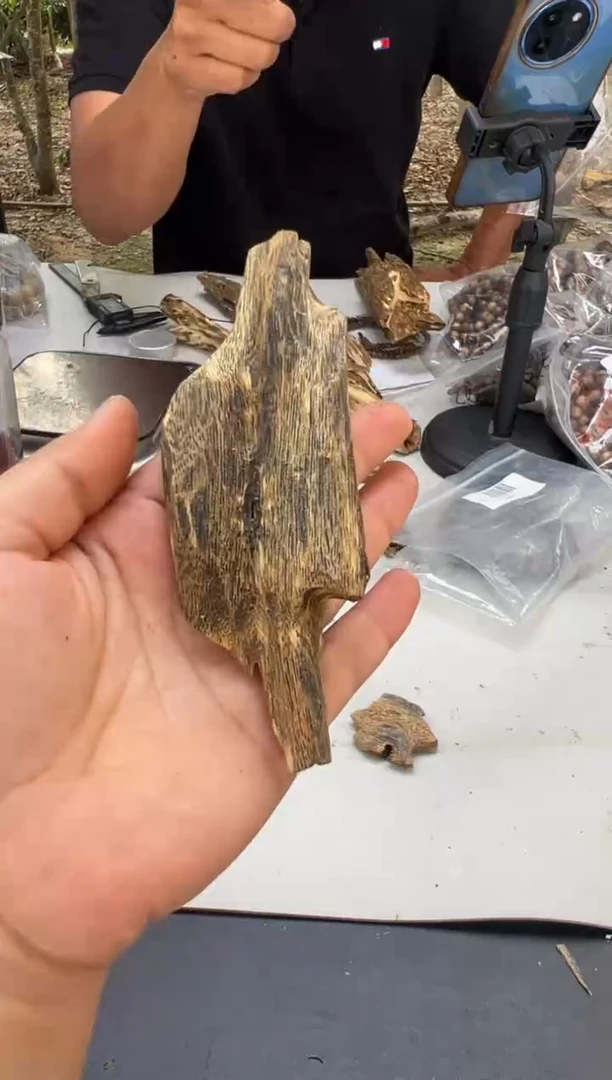 沉香碎屑沉香奇楠沉香虫漏16克多样性发一