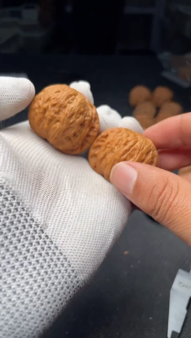 核桃a241  铁锤 40尺