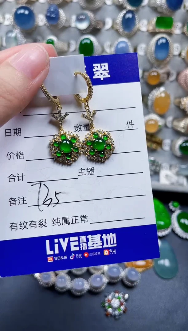 银S925镶嵌翡翠耳饰735