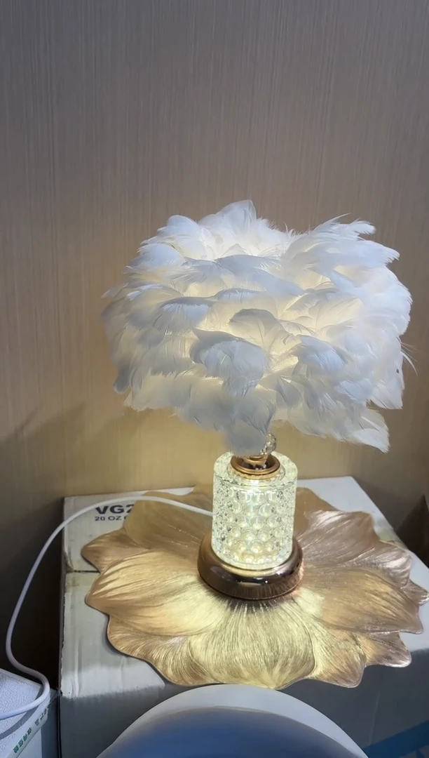 20250812羽毛台灯