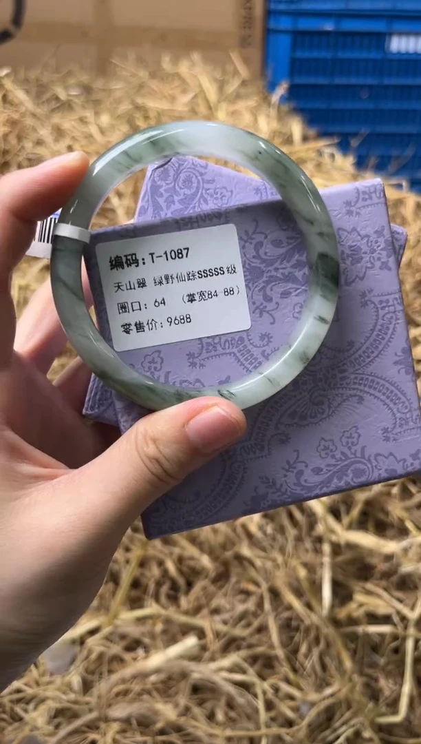 未镶嵌手镯石英质玉T-1087