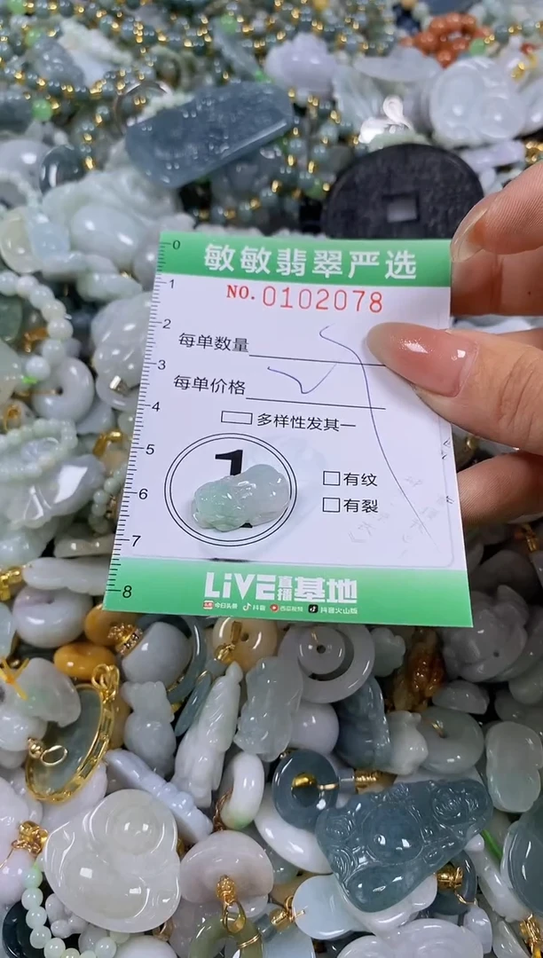 【闪购商品】翡翠颈饰未镶嵌闪购链接01012078