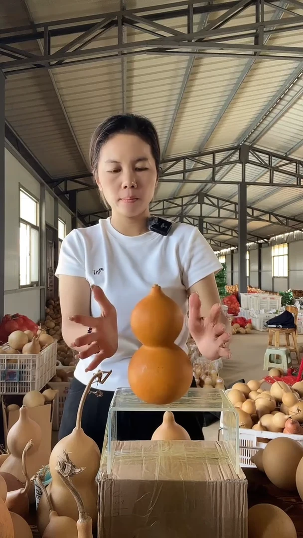 无花朵952天然葫芦摆件 一物一拍龙头不保售后