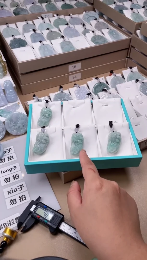 【闪购商品】翡翠颈饰未镶嵌天然 缅甸A货翡翠多样性发一貔貅