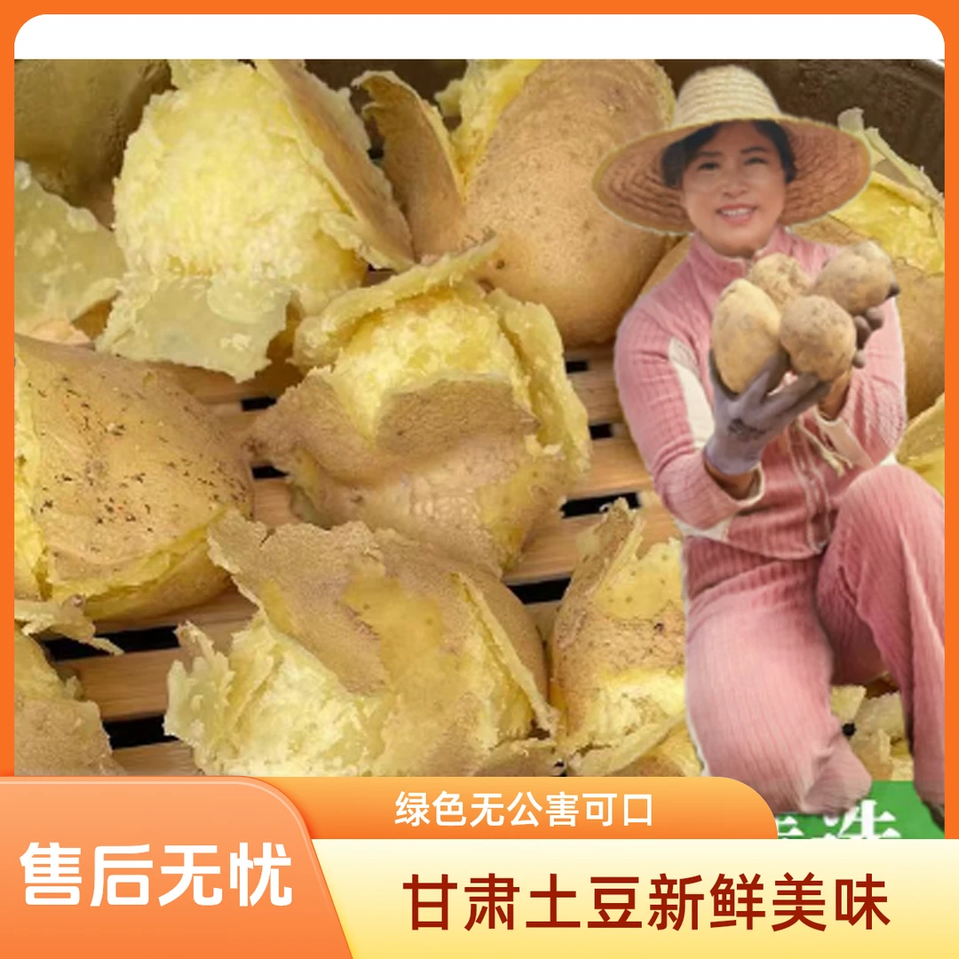 甘肃定西新土豆黄皮黄心沙糯粉面开花可蒸煮的新鲜洋芋