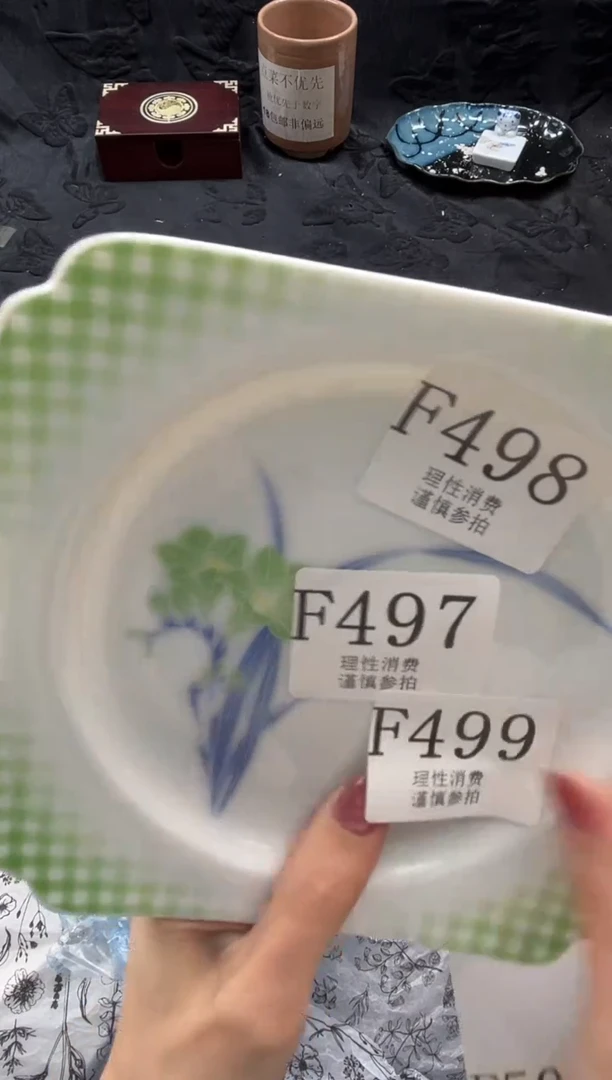 瓷片向*       F498