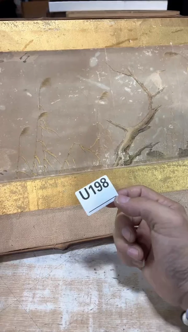 ?****?直播定闪专用链接123