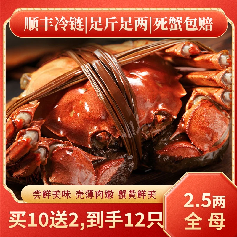 【活蟹顺丰现捞现发】正宗苏州大闸蟹2.5两母蟹买10只送2只到手12只
