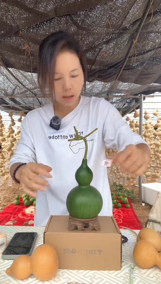 038天然葫芦摆件 一物一拍