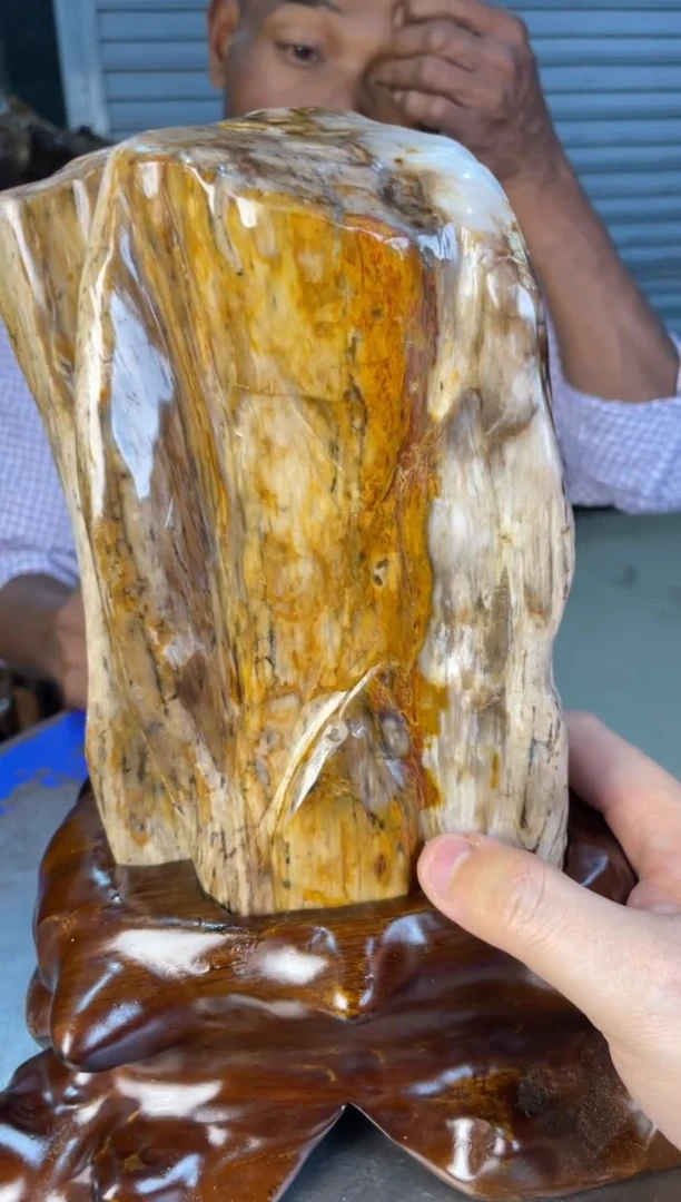 未镶嵌摆件硅化玉20