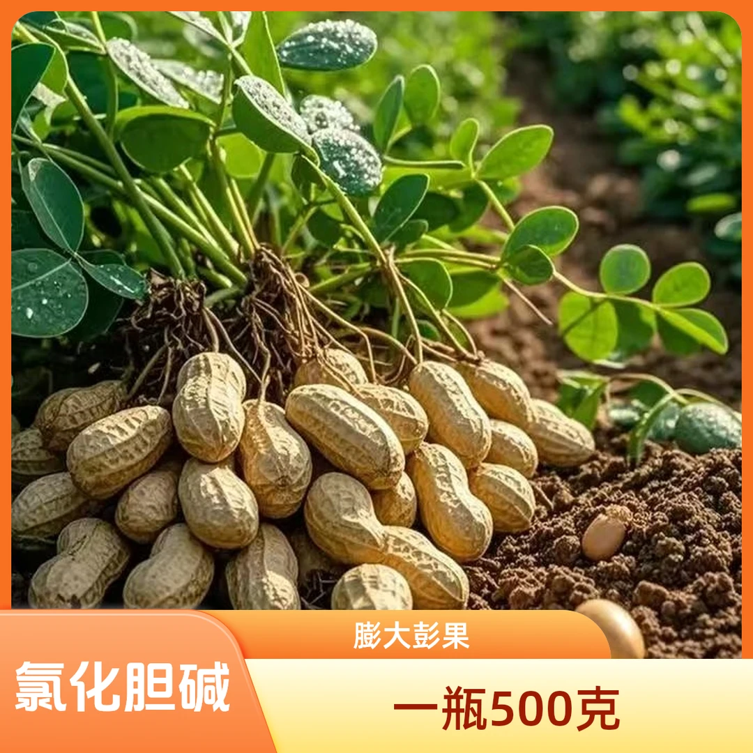 【500克】氯化  胆碱花生膨大根茎叶面