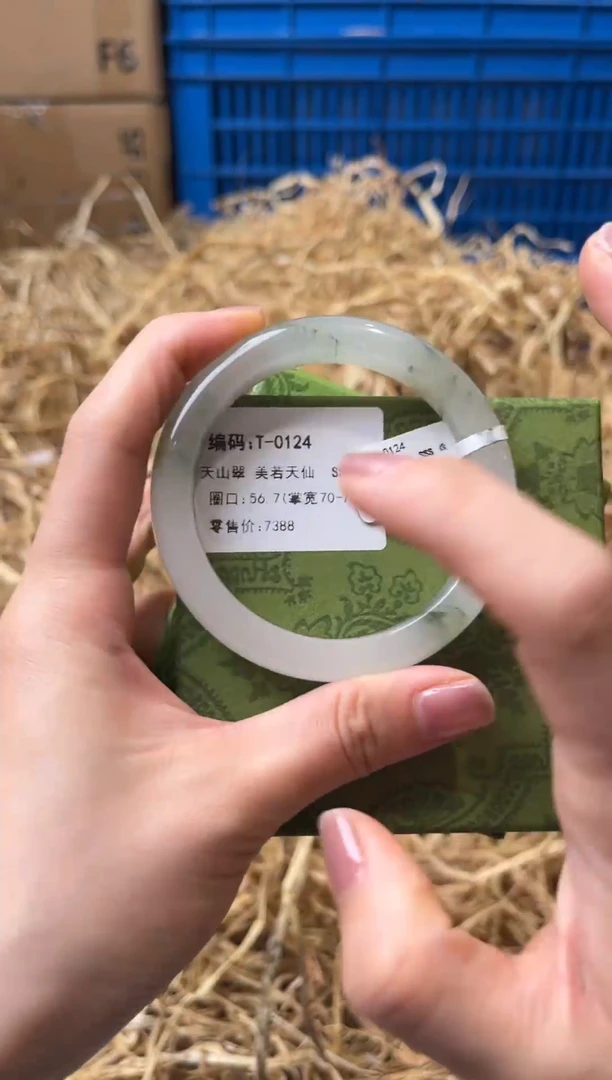 未镶嵌手镯石英质玉T-0124