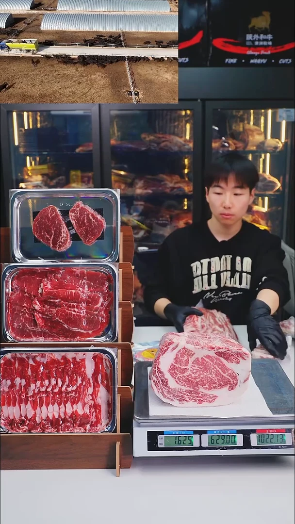 24个月中国大陆散装1.4kg 金钱腱