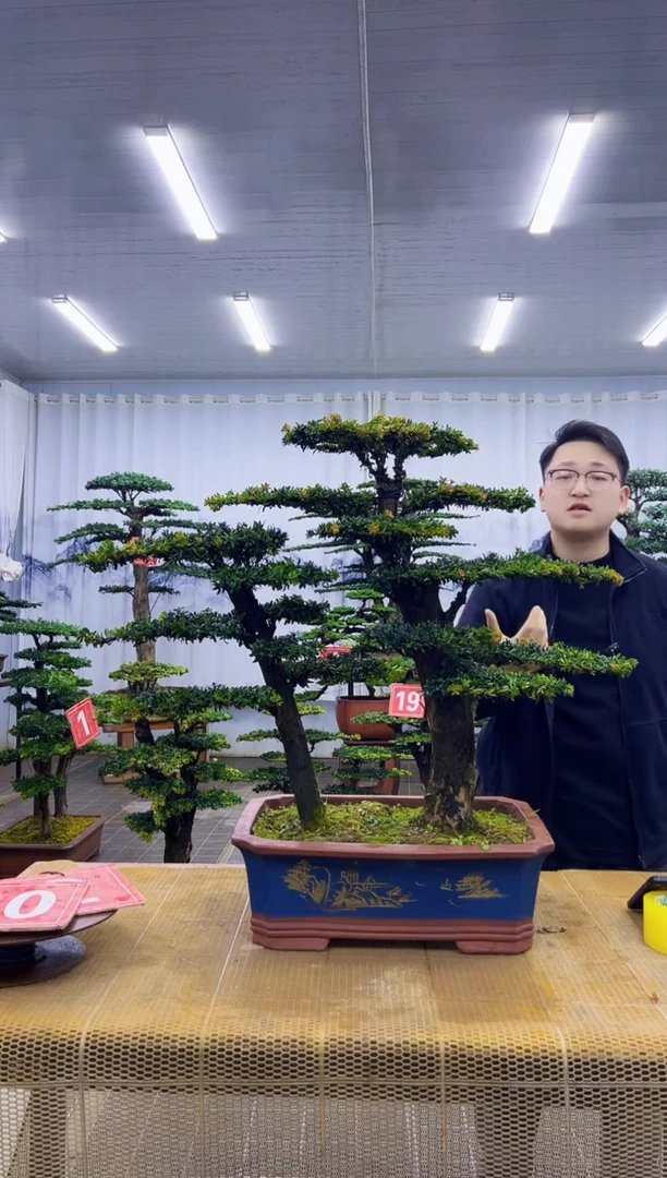 羊***意00000000000000000000000000