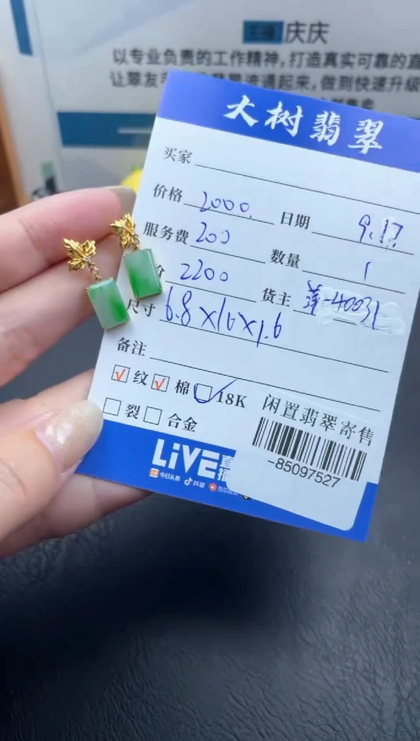 18K金镶嵌翡翠耳饰 多人-85097527