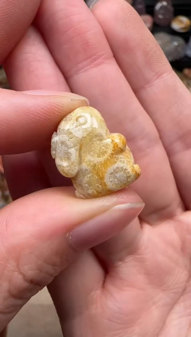 颈饰未镶嵌硅化珊瑚（珊瑚玉）536