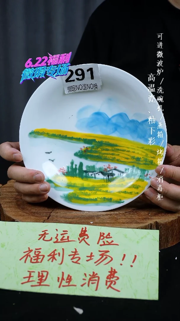 其他高温瓷（窝盘）微瑕291