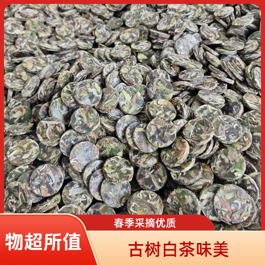 古树白茶饼干茶7克英德红茶英红九号