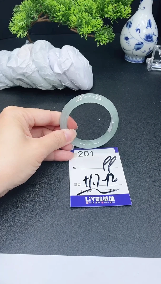 未镶嵌手镯翡翠201