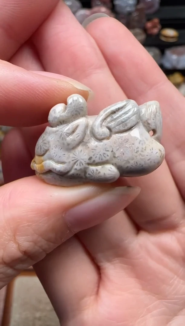 颈饰未镶嵌硅化珊瑚（珊瑚玉）252