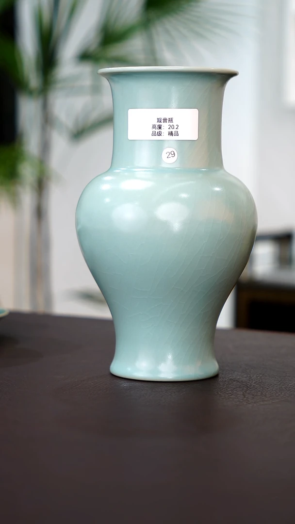 29号观音瓶20.2高度精品炸福利  洁