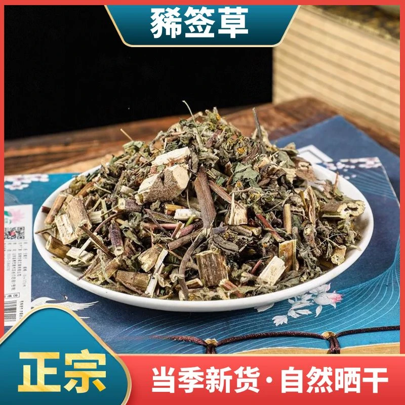 野生豨签草精选稀莶草稀签草豨莶草散装500g-1000g新鲜干货叶菜