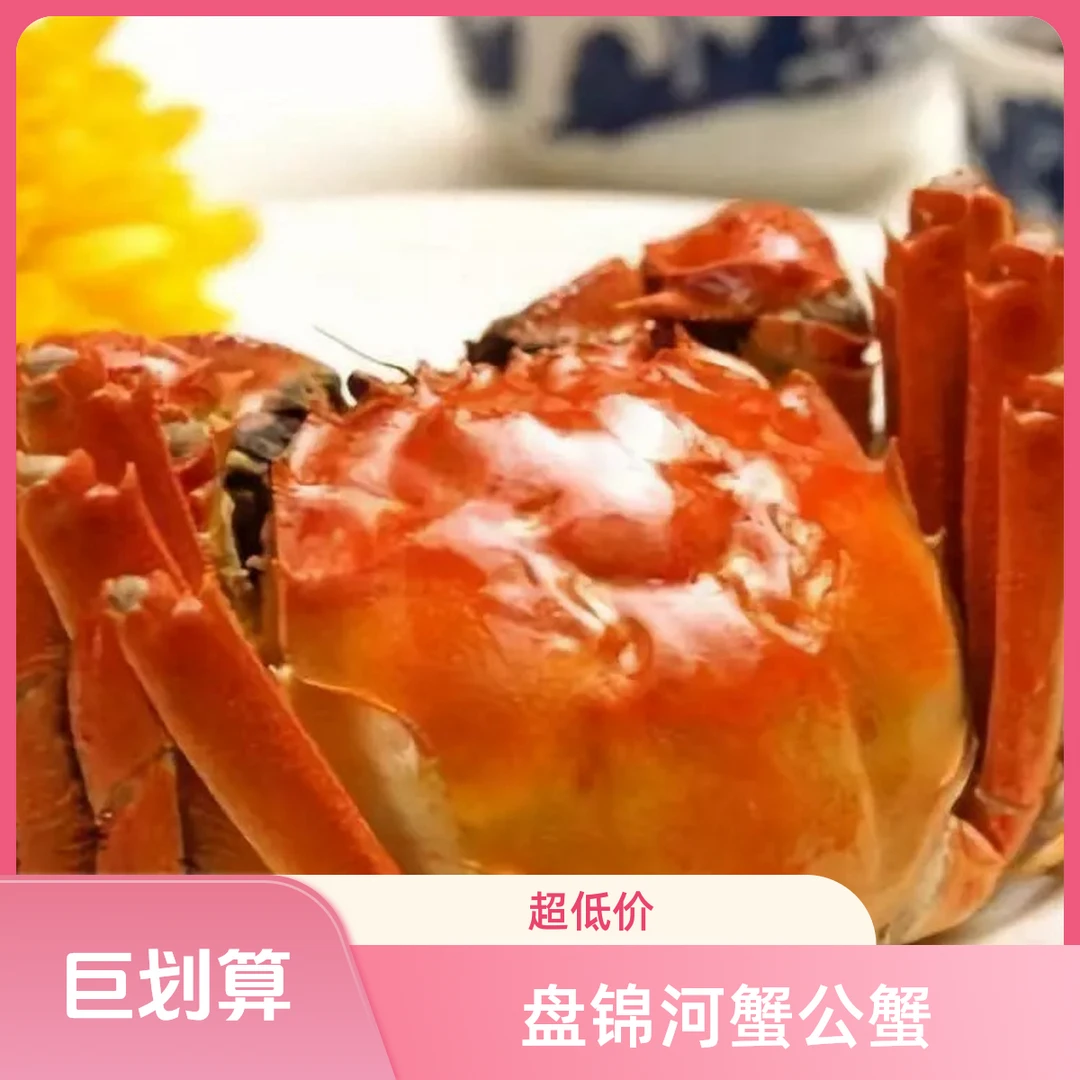 徐丹{活蟹}徐丹盘锦河蟹全公蟹大蟹链接1.7-2两起公蟹规格3斤/5斤