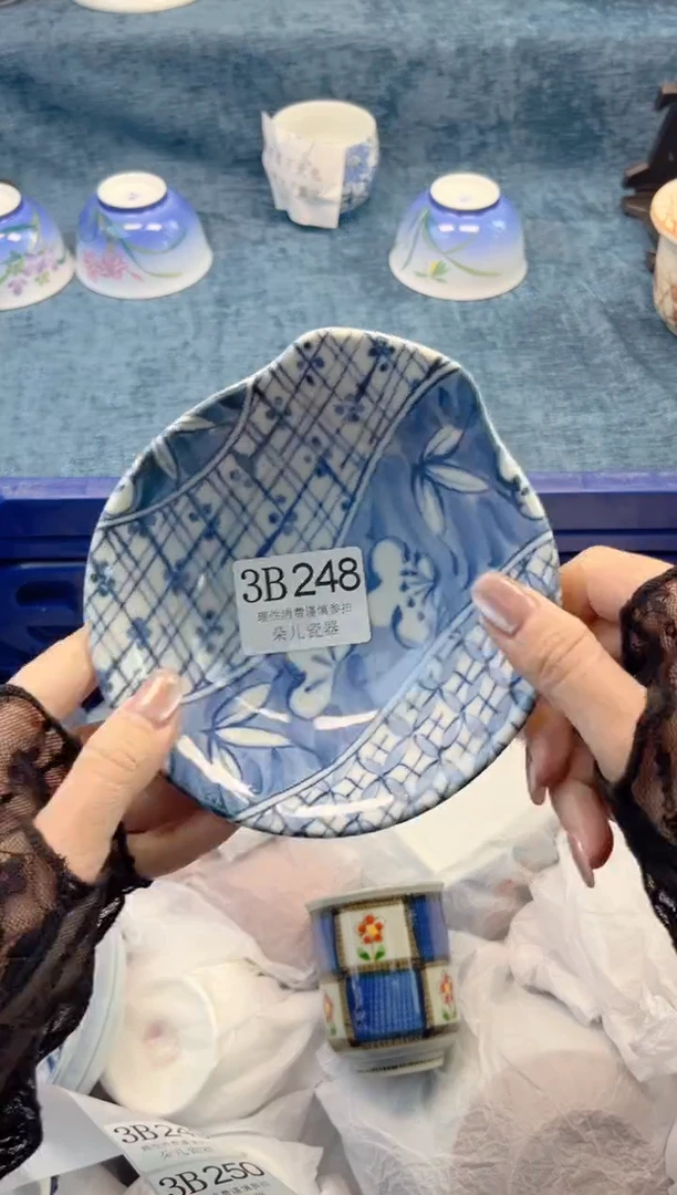 瓷片         3B248
