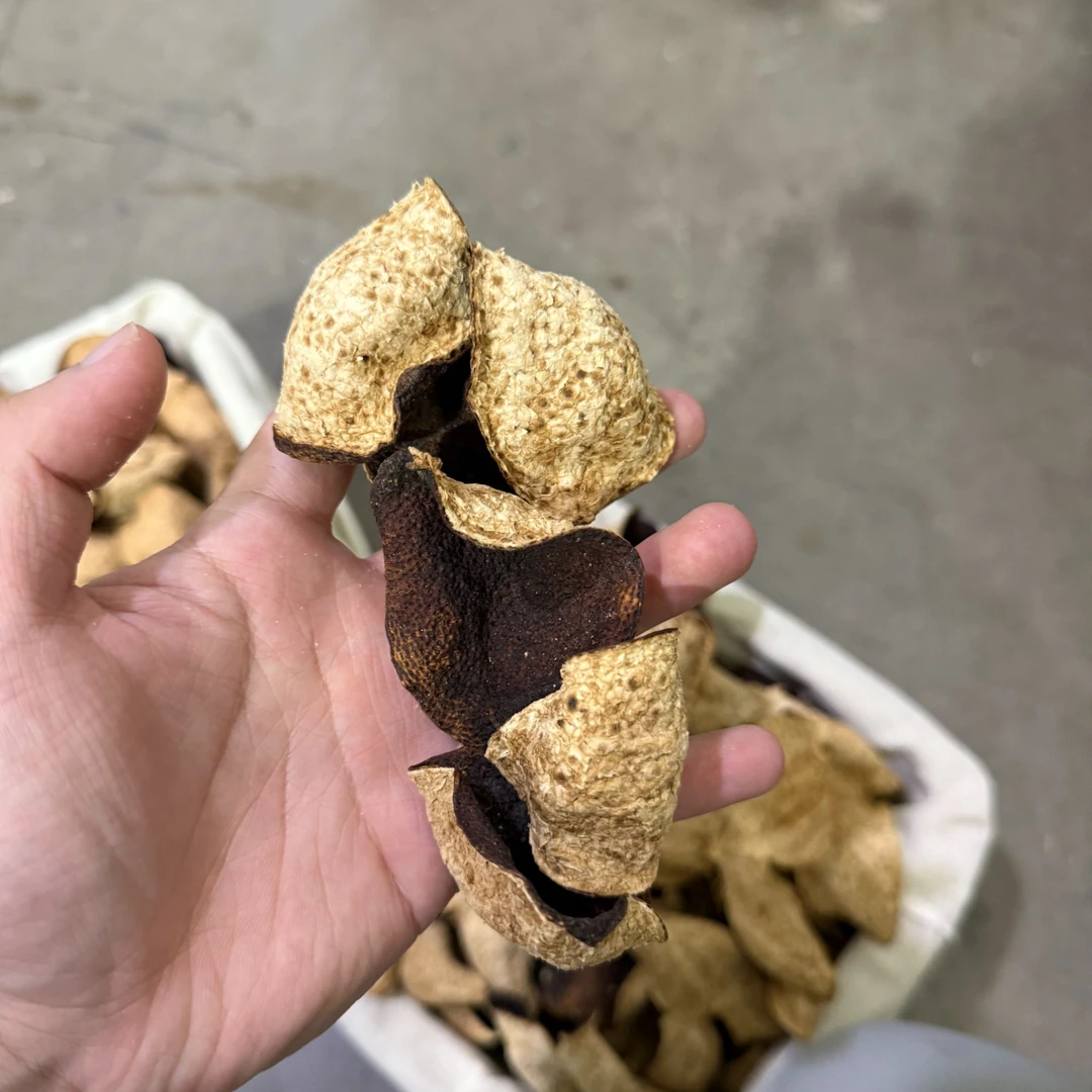 【大红】2021年双水小冈圈枝6年树头采大红