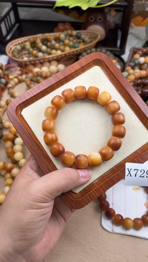 手串菩提根/象牙果六*x729干磨巴斯克微瑕15