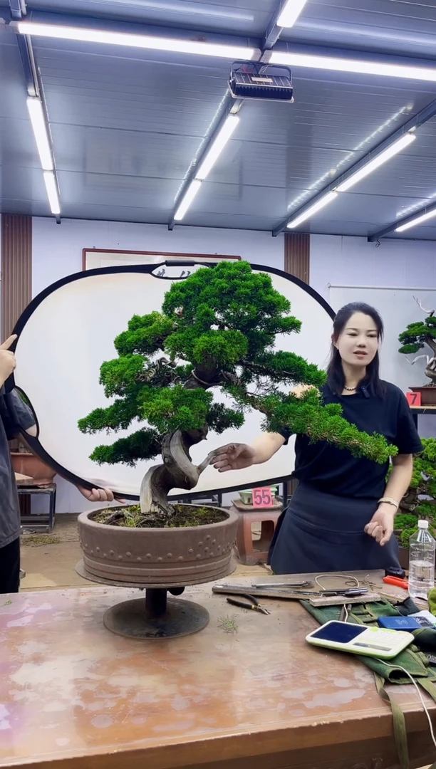 无花朵一**目000000000