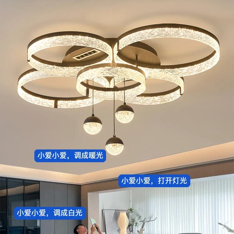 【鑫泰灯饰】客厅灯轻奢高级感意式极简大厅主灯吸顶灯全屋灯具套餐