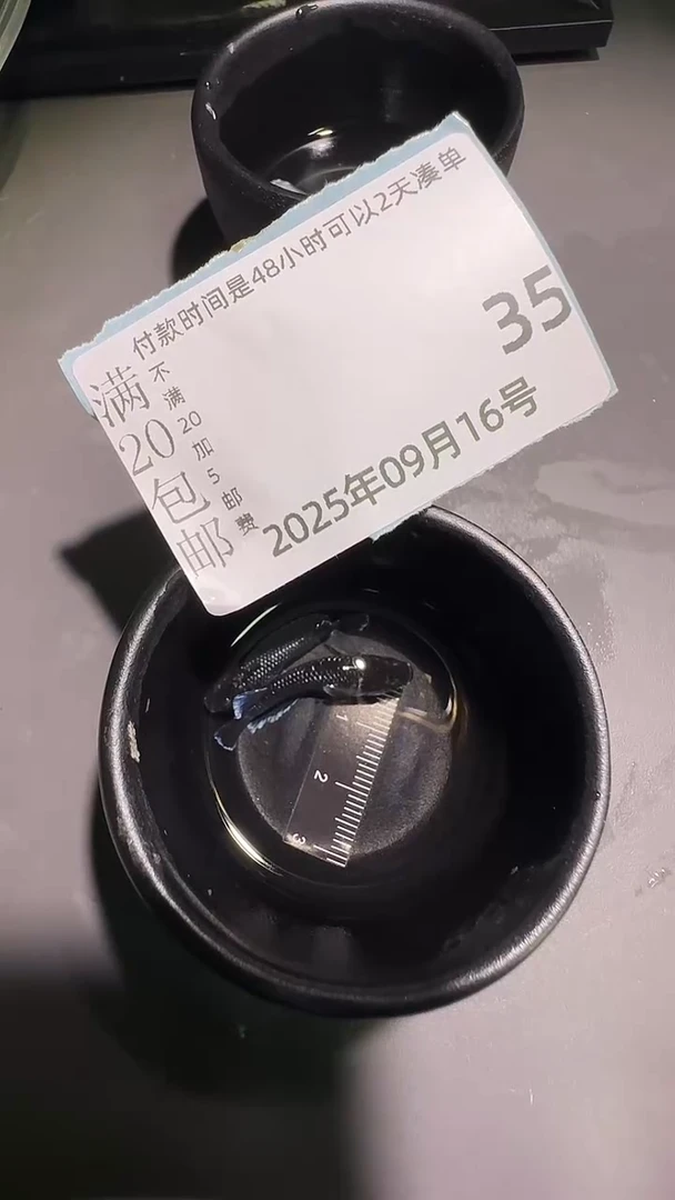 青鳉鱼观背青鳉观背青鳉35