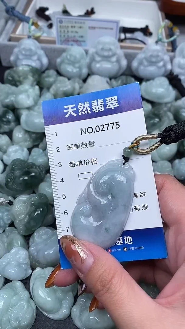 颈饰未镶嵌翡翠纯天然A货翡翠2775