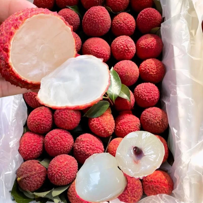 (先亏1000单)【明日达顺丰包邮】海南直采老树荔枝新鲜水果妃子笑0.5-5斤装荔枝荔枝同城送