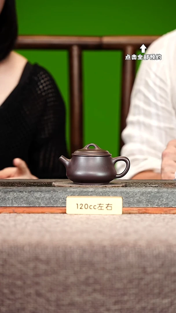 宜兴紫砂茶壶茶壶102