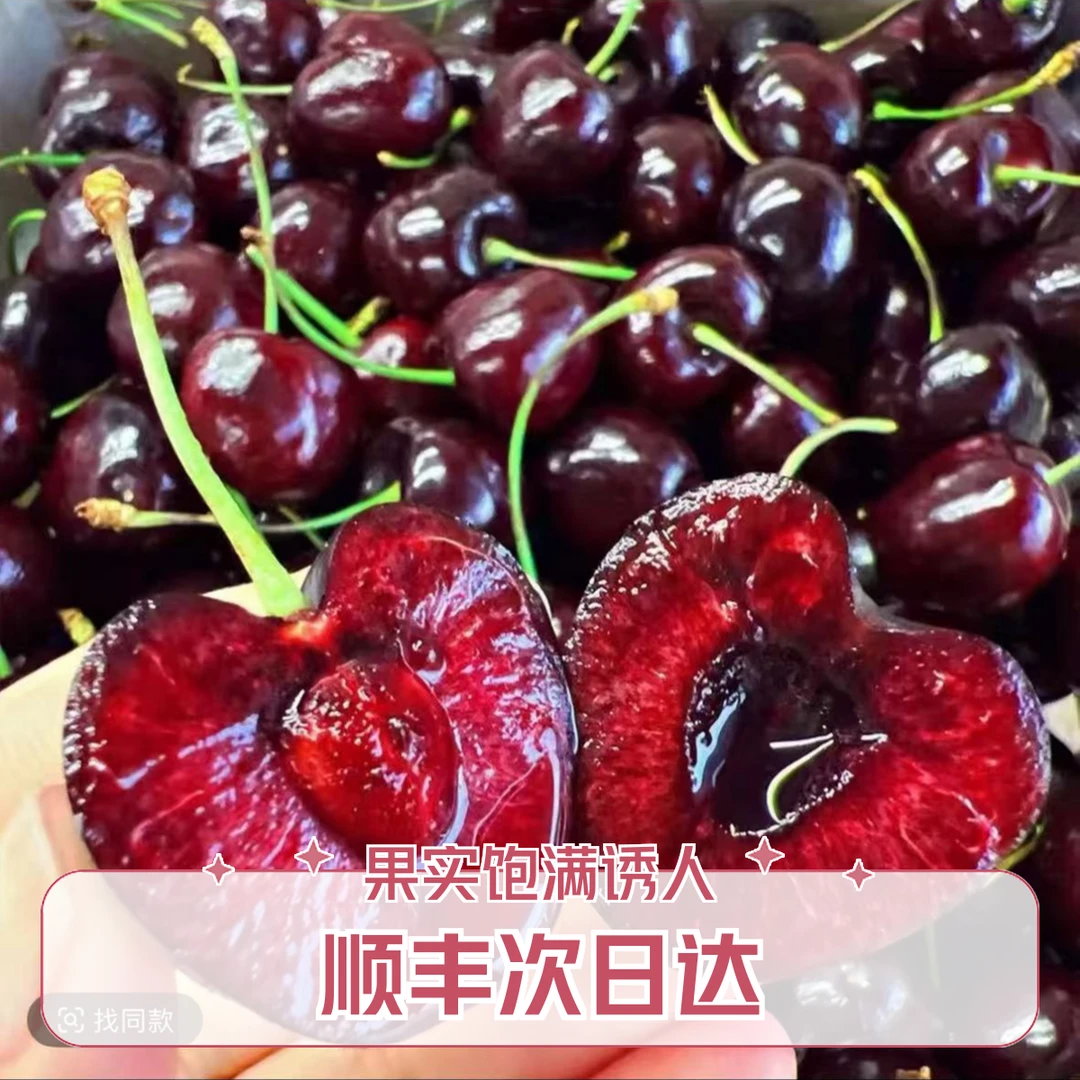 【顺丰次日达】智利进口空运车厘子3JD-4JD桑提娜5斤原箱包邮鲜水果（内附果径卡）桑提娜樱桃智利共和国