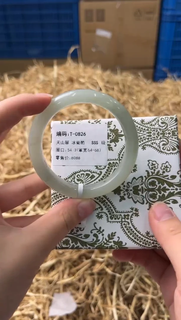 未镶嵌手镯石英质玉T-0826