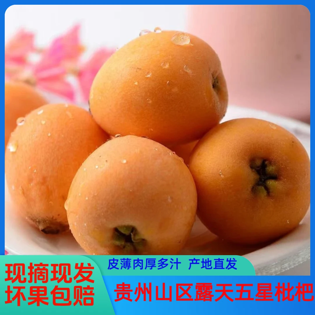 【顺丰包邮】 贵州大五星枇杷新鲜甜口枇杷九分甜老树枇杷皮薄肉厚
